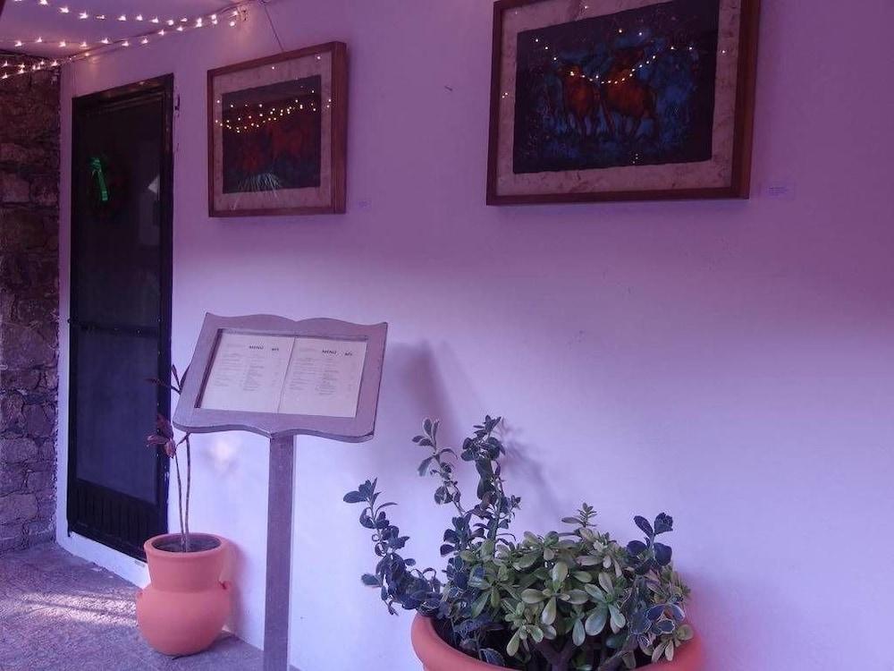 Casa De Las Conservas Comfort Σαν Μιγκέλ ντε Αγιέντε Εξωτερικό φωτογραφία