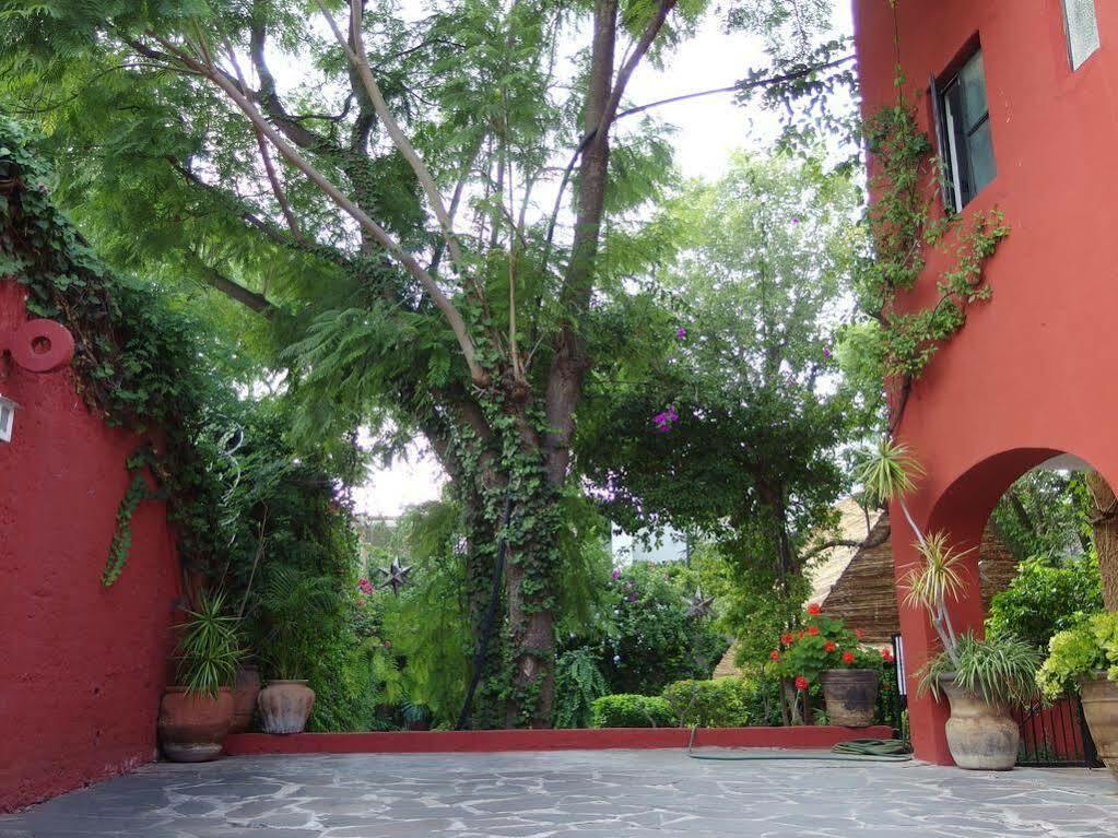 Casa De Las Conservas Comfort Σαν Μιγκέλ ντε Αγιέντε Εξωτερικό φωτογραφία